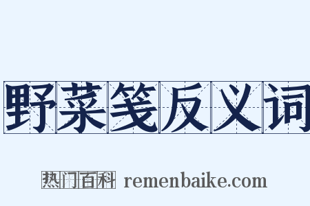 野菜笺反义词是什么意思的图片